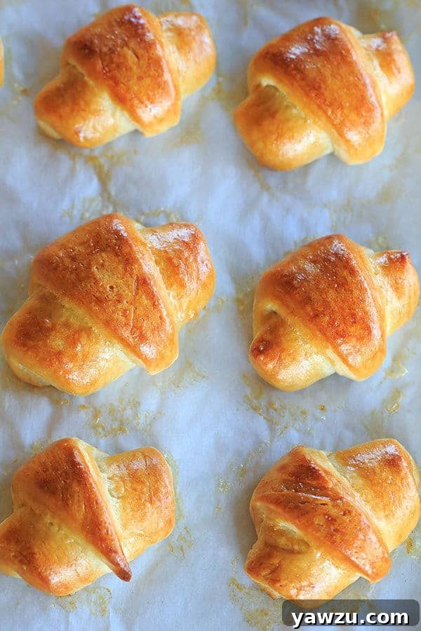 A freshly baked batch of homemade crescent rolls, golden and inviting, ready to be enjoyed straight from the oven.