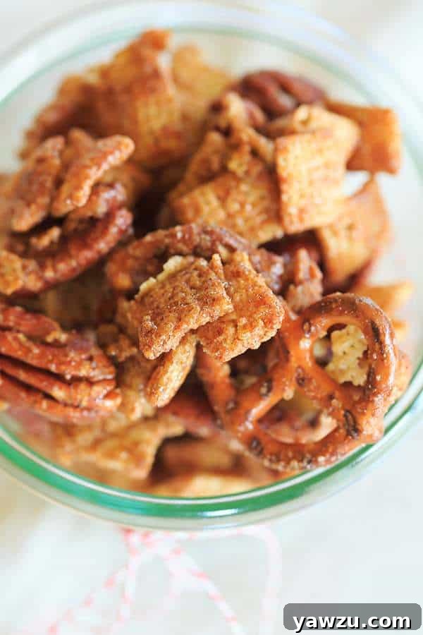 Cinnamon-Sugar Candied Chex Mix with Pecans and Pretzels - A perfect holiday snack and hostess gift!