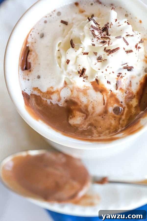 Italian Hot Chocolate (Cioccolata Calda) - Overhead shot of two mugs of hot chocolate, one with whipped cream and chocolate shavings, offering a glimpse of its thick texture.