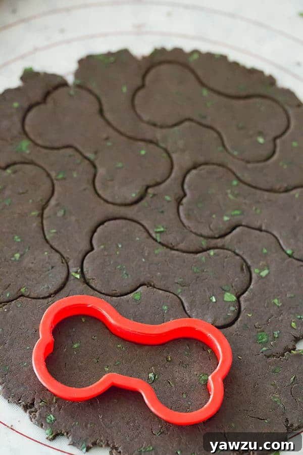 Multiple homemade dog biscuits, shaped like bones, cooling on a baking sheet lined with parchment paper