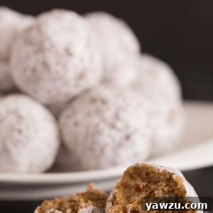 Delicious No-Bake Date and Pecan Snowball Cookies