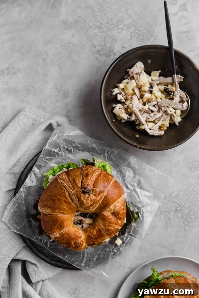 An overhead photo of a chicken salad sandwich on croissant with a bowl of chicken salad filling next to it.