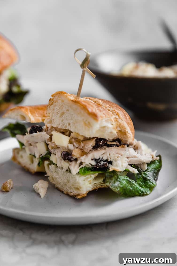 A chicken salad sandwich on croissant cut in half.