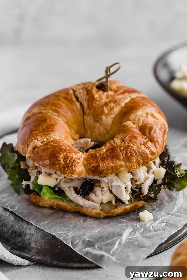 A chicken salad sandwich on croissant.