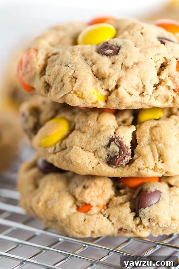 Ultimate Peanut Butter Lover's Monster Cookies - A peanut butter dough loaded with oats, chocolate chips, peanut butter chips and Reese's Pieces for an irresistible treat.