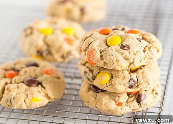 Peanut Butter Lover's Monster Cookies with visible Reese's Pieces and chocolate chips, showcasing the chewy texture.