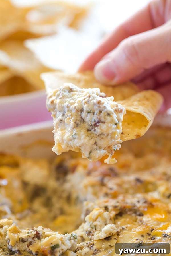 This "Hissy Fit Dip" with the crazy moniker is a HUGE party hit - sausage, cream cheese, sour cream, two cheeses, chives and seasonings make this one absolutely irresistible! | browneyedbaker.com