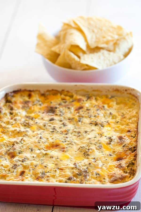 This "Hissy Fit Dip" with the crazy moniker is a HUGE party hit - sausage, cream cheese, sour cream, two cheeses, chives and seasonings make this one absolutely irresistible! | browneyedbaker.com