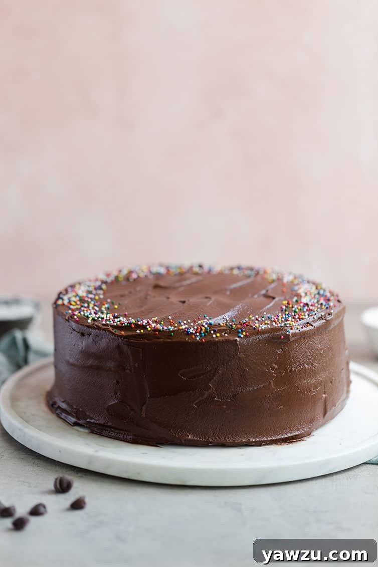 Cake covered in chocolate frosting on a platter.