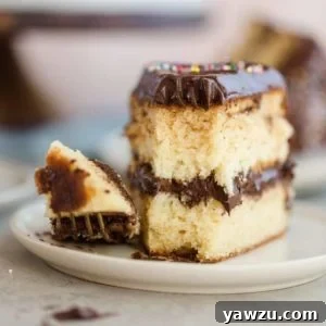 Yellow Cake with Chocolate Frosting