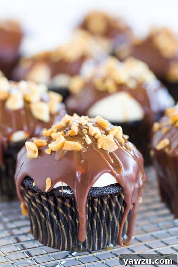 A tray of beautifully decorated Snickers cupcakes ready to be devoured.