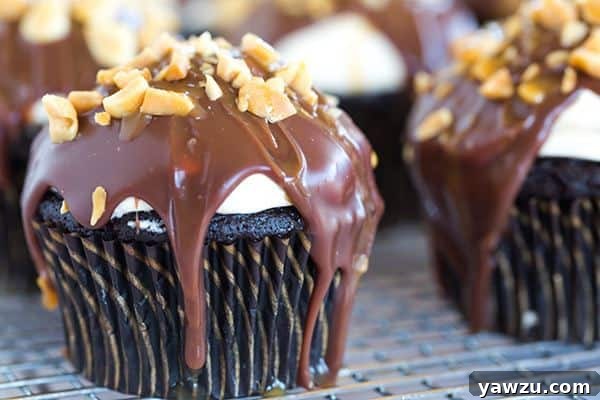 Close-up shot showing the peanut nougat filling inside a cored chocolate cupcake.
