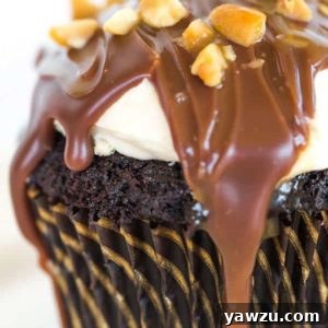 Snickers Cupcakes: A chocolate cupcake filled with peanut nougat, topped with caramel buttercream, chocolate ganache, peanuts, and caramel drizzle.