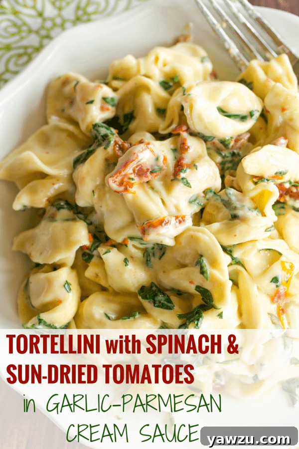 Tortellini in Parmesan-Cream Sauce with Spinach and Sun-Dried Tomatoes - An easy, AMAZING dinner ready in less than 30 minutes! Perfect for a weeknight meal or your next dinner party.