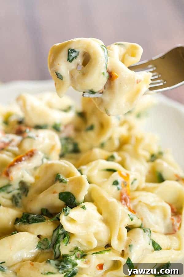 Tortellini in Parmesan-Cream Sauce with Spinach and Sun-Dried Tomatoes - An easy, AMAZING dinner ready in less than 30 minutes! Perfect for a weeknight meal or your next dinner party.