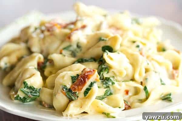 Tortellini in Parmesan-Cream Sauce with Spinach and Sun-Dried Tomatoes - An easy, AMAZING dinner ready in less than 30 minutes! Perfect for a weeknight meal or your next dinner party.