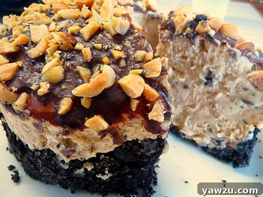 Chocolate Peanut Butter Torte: A sophisticated layered dessert featuring rich chocolate cake, creamy peanut butter mousse, and a smooth chocolate glaze.