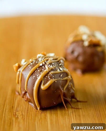 Chubby Hubby Truffles: Irresistible bites of peanut butter, pretzels, and chocolate, combining salty, sweet, and crunchy textures for a perfect treat.