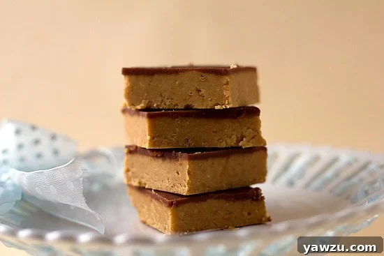 Peanut Butter Cup Bars: A chewy, dense peanut butter base topped with a smooth chocolate frosting, reminiscent of a giant peanut butter cup in bar form.