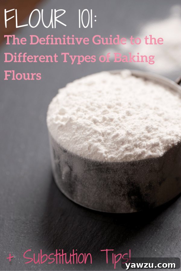 Baking Basics: Flour 101 - The Definitive Guide to the Different Types of Baking Flours... Everything you need to know, plus tons of substitution tips!