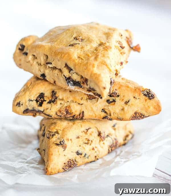 Delicious honey-fig scones baked with white whole wheat flour, featuring a soft crumb and hints of chopped figs.