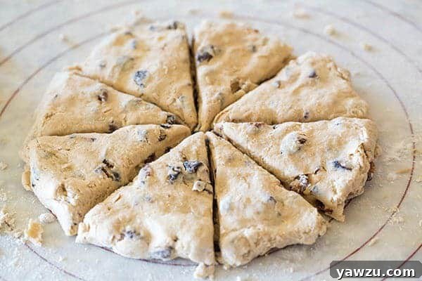 Close-up of a batch of freshly baked honey-fig scones, showing the golden-brown crust and moist interior.