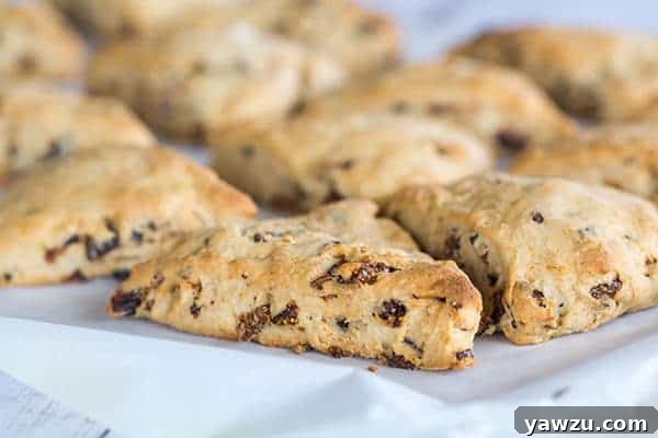 Two baked honey-fig scones on a cooling rack, ready to be enjoyed.