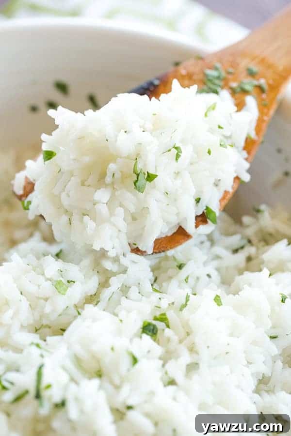 A copycat recipe for Chipotle's popular cilantro-lime rice, with a simple method to ensure light, fluffy rice with no clumps! A bowl of perfectly cooked fluffy white rice with green cilantro garnish and vibrant lime wedges.