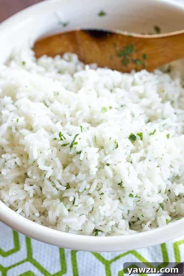 A bowl of freshly cooked and seasoned cilantro-lime rice with a serving spoon, highlighting its fluffy and separated texture, ready to be integrated into a meal.