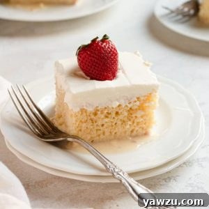 Tres Leches Cake Recipe
