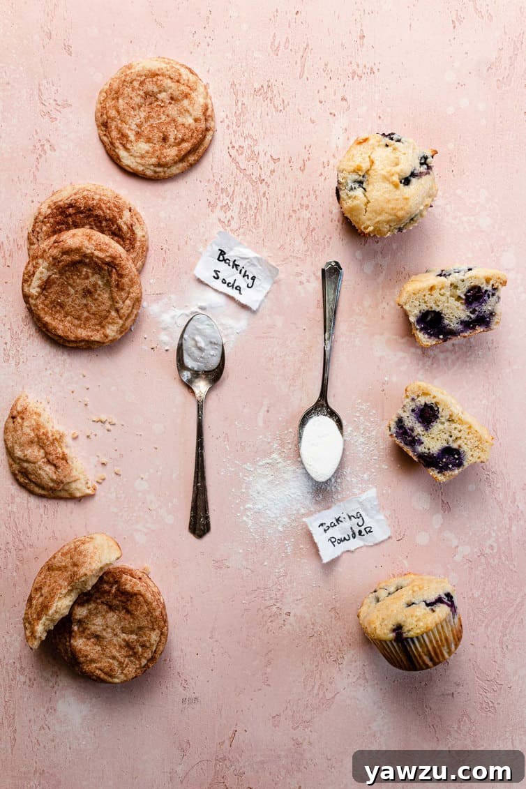 Snickerdoodle cookies and blueberry muffins with spoonfuls of baking soda and baking powder next to them.