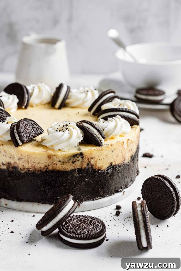A freshly baked Oreo cheesecake, golden brown around the edges, cooling on a counter with more Oreo cookies in the foreground.