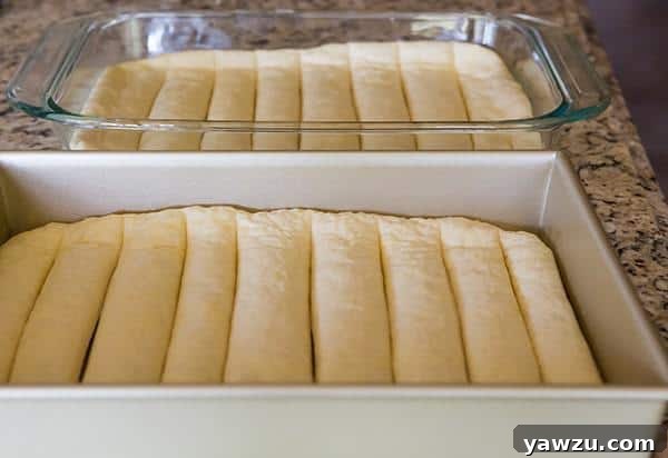 A tray of unbaked breadstick dough, perfectly portioned and brushed with butter, ready to rise.