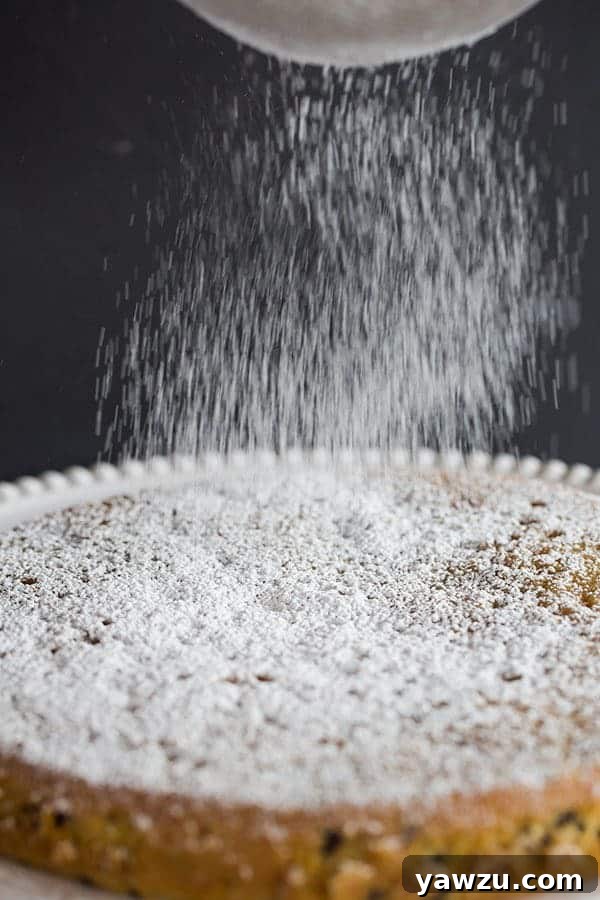 A generous slice of Orange-Chocolate Chip Snack Cake on a plate, showcasing its fluffy texture and golden-brown crust.