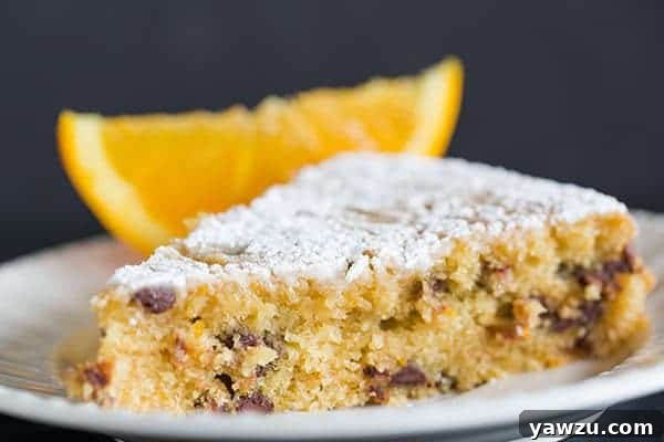 A final close-up of the Orange-Chocolate Chip Snack Cake, dusted with powdered sugar, ready for serving.