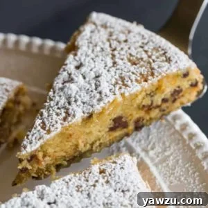 Orange-Chocolate Chip Snack Cake