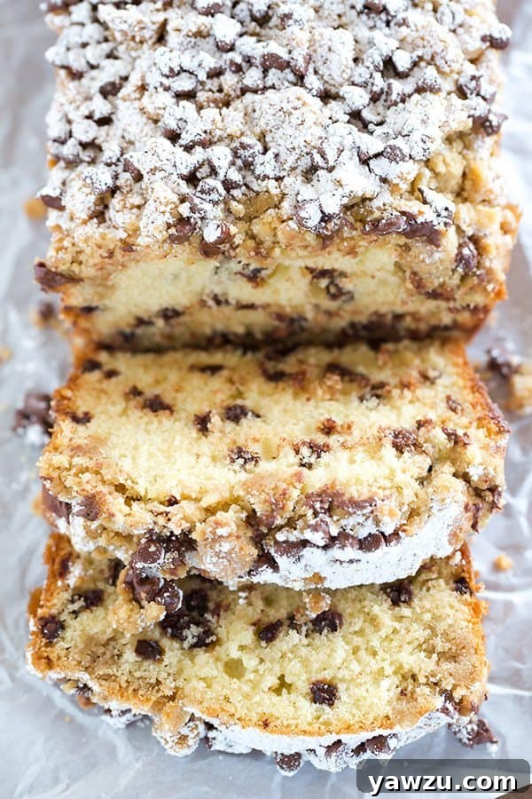 Close-up of a slice of chocolate chip crumb cake with a generous streusel topping and powdered sugar.