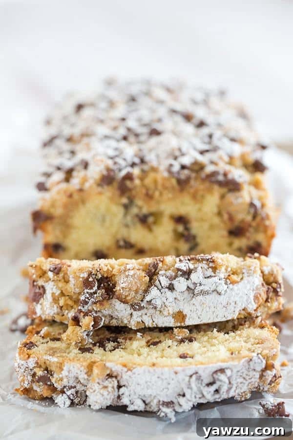 Overhead view of a freshly baked chocolate chip crumb cake in a loaf pan.