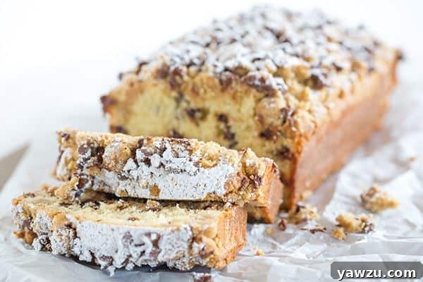 A delectable slice of chocolate chip crumb cake, showcasing its tender texture and plentiful chocolate chips.