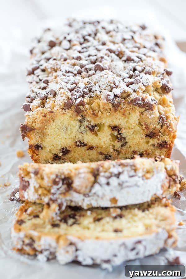 Chocolate chip crumb cake adorned with a dusting of powdered sugar, ready to be served.