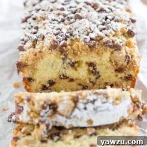 Chocolate Chip Crumb Cake