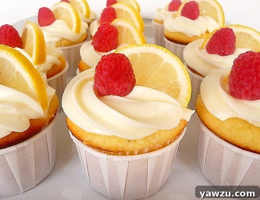 Lemon cupcakes topped with fluffy white frosting, fresh lemon slices, and vibrant raspberries, showcasing a perfect summer dessert.