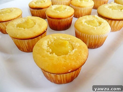 Lemon cupcakes with centers scooped out and filled with rich lemon curd, prior to frosting, showcasing the zesty filling.