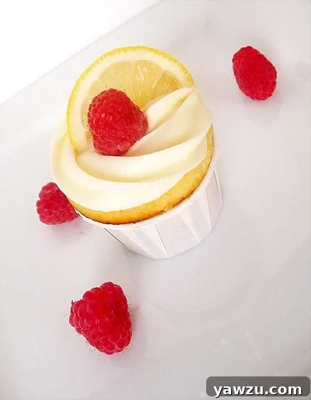 Close-up of a single Lemon Limoncello cupcake, beautifully garnished with a thin fresh lemon slice and a plump raspberry on top of creamy frosting.