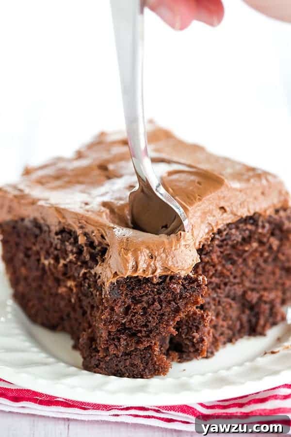 Rich and moist Chocolate Dump-It Cake with a luscious cream cheese-chocolate frosting, perfect for any occasion.