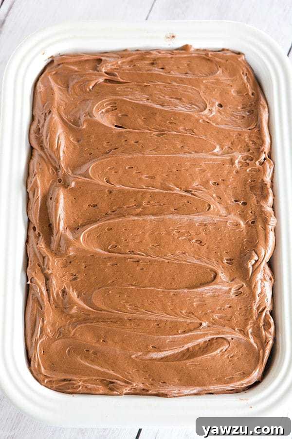 The simple ingredients for a Chocolate Dump-It Cake being prepared in a single pot.