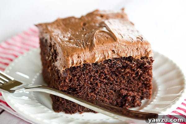 Close-up of a generous slice of Chocolate Dump-It Cake with fluffy chocolate-cream cheese frosting.