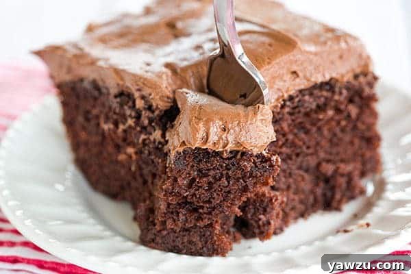 A whole Chocolate Dump-It Cake, freshly frosted and ready to be served.