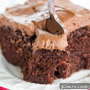 Chocolate Dump-It Cake: An old-fashioned recipe for chocolate cake mixed together in one pot, topped with a tangy cream cheese-chocolate frosting.