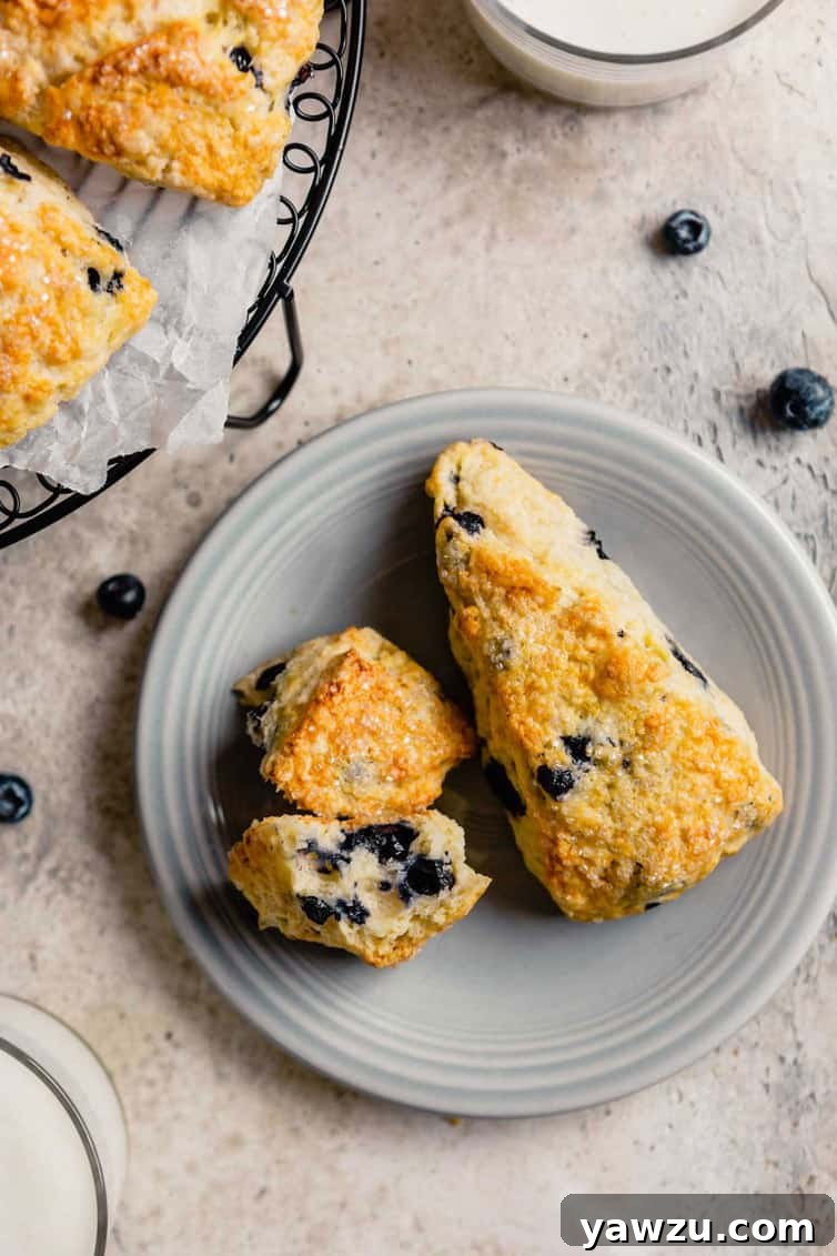 A light grey plate holding two freshly baked buttermilk scones, adorned with a few vibrant fresh blueberries, rests elegantly on a kitchen counter, inviting indulgence.
